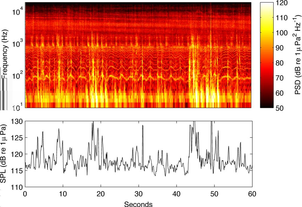 Fig. 5: top) Spectrogram for one-minute recording taken at 3:4 on March 3, 2 at a distance of.3 km from the SeaRay. bottom) Broadband received SPLs (6 Hz - 2 khz) for each window of the spectrogram.