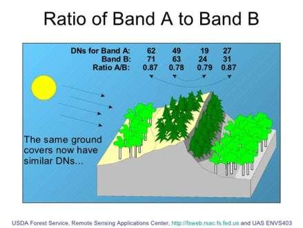 Ratio (A/B) created in Raster Calculator or Image Arithmetic (ARI) or Ratio