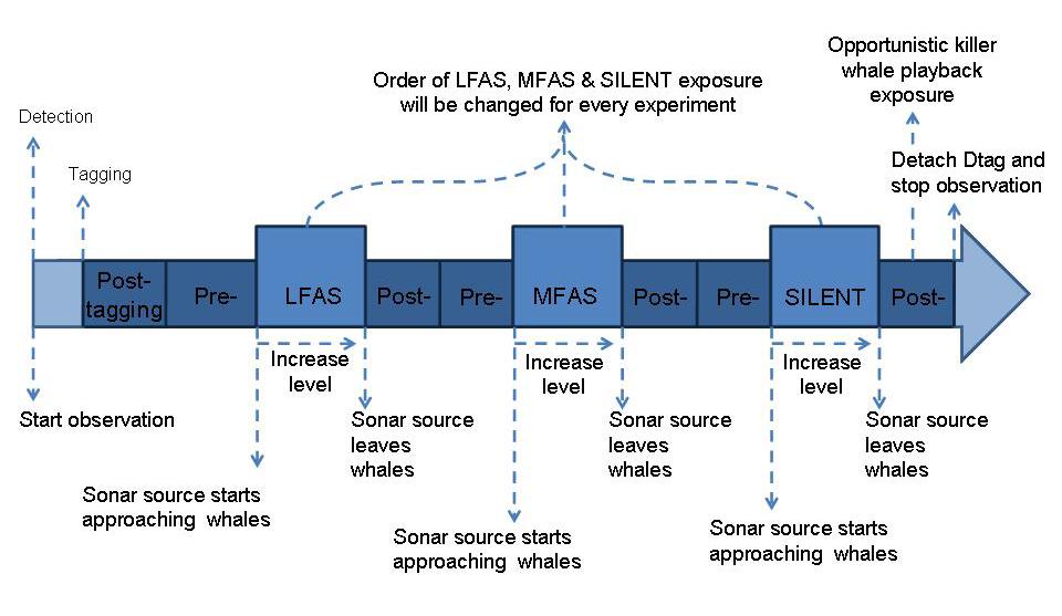 Outcome Objective 3S Experimental design Quantify behavioral response of cetaceans to sonar as a function of the frequency band utilized by the sonar. Relate to hearing curve if available.
