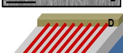 (a) An SEM image and a device schematic of a back-gated FET fabricated on a printed, parallel array of InAs nanowires.