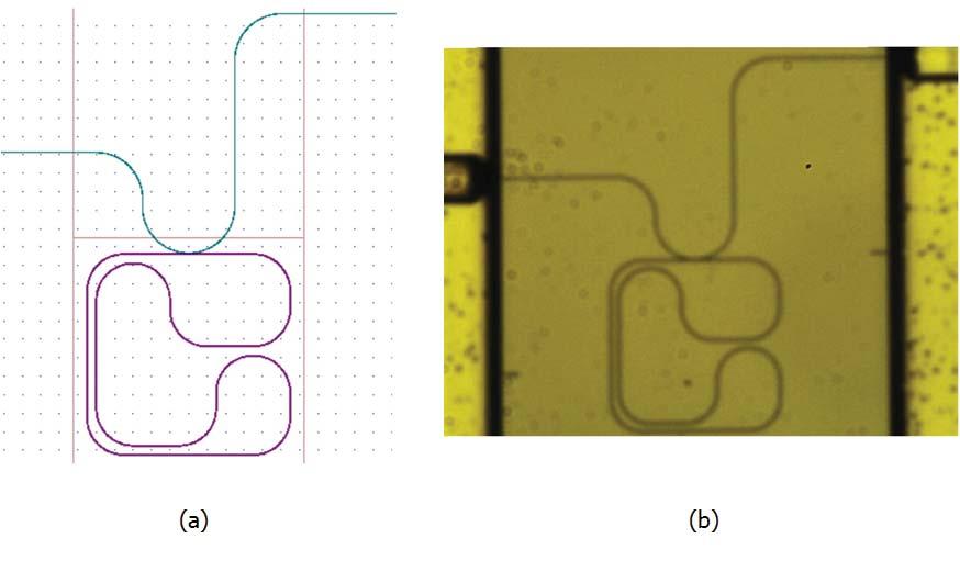 44 Fig. 5.1. (a)the schematic layout and (b) The microscopic view of the designed C-shaped microring resonator.