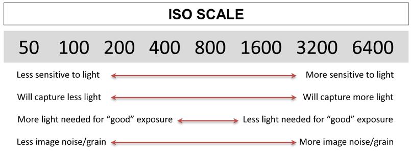 Camera ISO This setting changes the sensitivity of the image sensor.