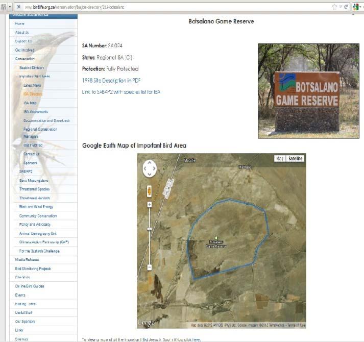 IBA Site and Online Texts (continued) The following information is published: * General information about the IBA * Google Earth Map of each IBA * Site description * Texts about the bird species in