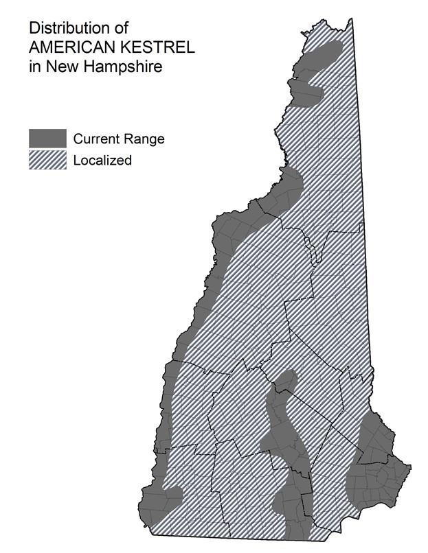 NH Wildlife Action Plan Habitats Grasslands Developed Habitats Shrublands Distribution Map Current Species and Habitat Condition in New Hampshire Nest boxes that Kestrel have successfully nested in