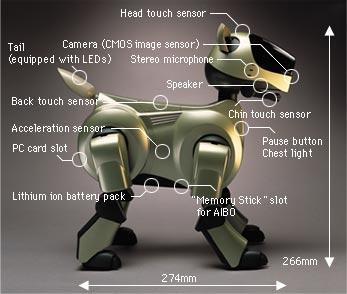 Sony AIBO (Artificial Intelligence robot) http://en.wikipedia.