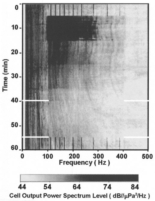 306 IEEE JOURNAL OF OCEANIC ENGINEERING, VOL. 25, NO. 3, JULY 2000 for a single hydrophone at the center water column. Fig.