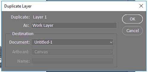 As a safety measure, in case you make a mistake, we suggest that you duplicate the image layer. Select Layer 1 clicking on it once. The layer is highlighted when it is selected.