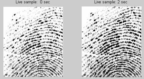 live fingerprints images [8]. This method uses images captured immediately following placement on the fingerprint scanner (zero second) and two seconds after placement.