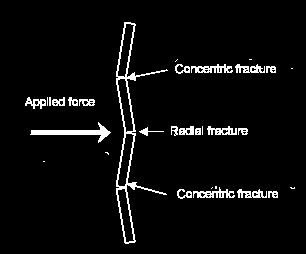 Glass Fracture Patterns (continued) Types of fractures (continued) Concentric Form
