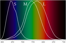 Tristimulus Colour Representation Observation Any colour can be matched using three linear independent reference colours May require negative contribution to test colour Matching curves describe the