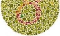 Color Blindness Tests 8 = normal 3 = red/green weak nothing = r/g blind 8 = red/green blind 12 = blue/yellow blind 182 = normal Werner
