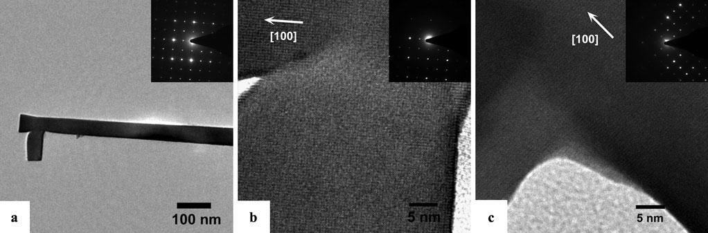 Furthermore, no segregation into core-shell structures was observed in both branches and backbone nanowires, unlike the ITO nanorods grown by e-beam deposition [6].