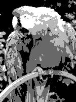 2-Bit Grayscale 00 01 10 11 8-Bit Grayscale A 2-bit color pallet using an accepted code