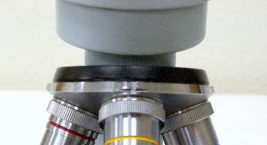 The objectives are the lens system closest to the specimen. There is one objective for each eyepiece in a compound microscope.