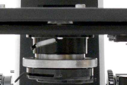 Most compound microscopes have one of two types of diaphragm: 1. Disc Diaphragm is the simplest and least expensive of the two types. It is located between the light source and the slide or specimen.
