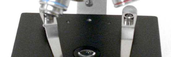 the eyepiece (tube) lens.
