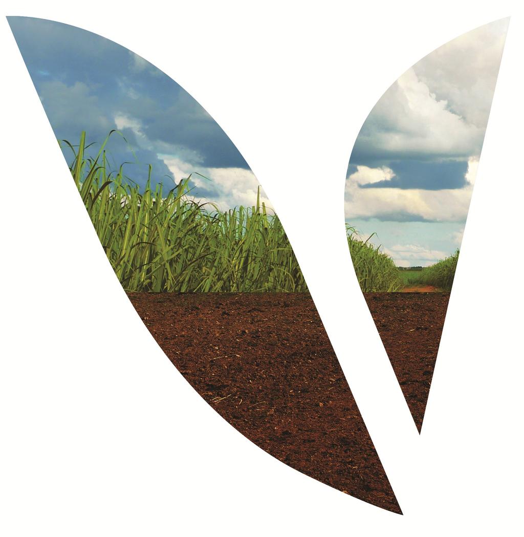Innovative Potash Fertilizer for