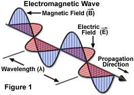 32 T3A07 What type of wave carries radio signals between transmitting and receiving stations?