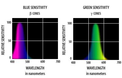 Cones The color space described by Newton has 3 dimensions (luminosity + 2