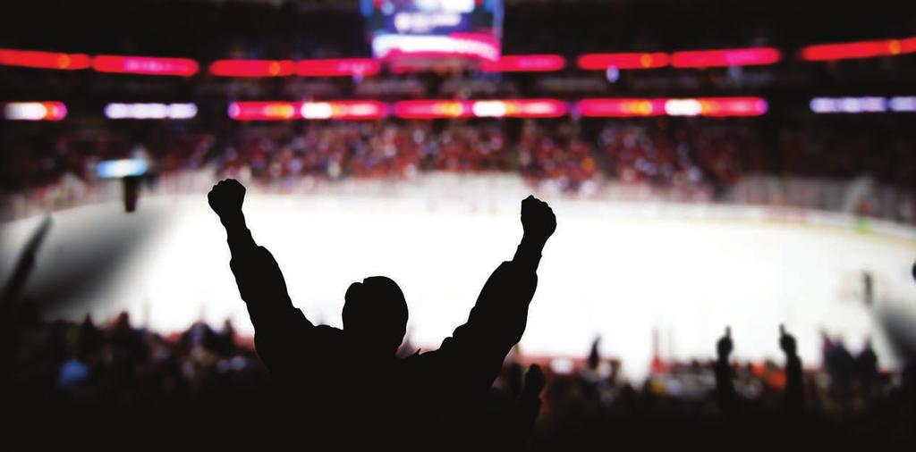 Engineered specifically for hockey arenas, ACRYLITE RinkShield offers a solution that is safer,