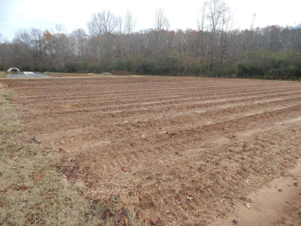 Field after landscape fabric was removed.