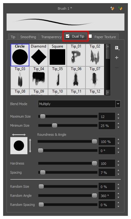 Harmony 15.0 Paint Reference Guide NOTE: To use a Dual Tip, you must enable option by checking the checkbox inside the Dual Tip tab.