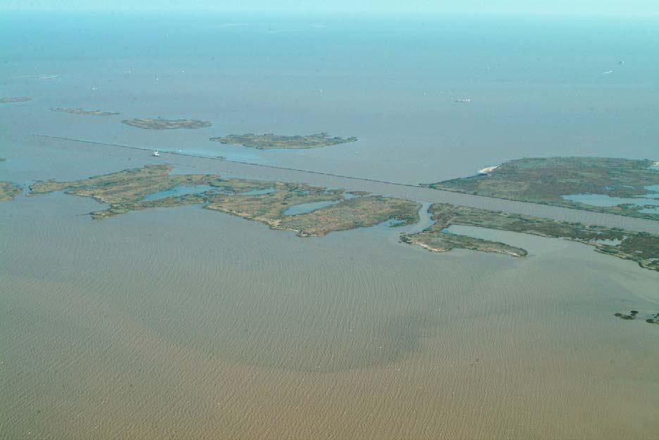 12 December 2003: Marsh Creation