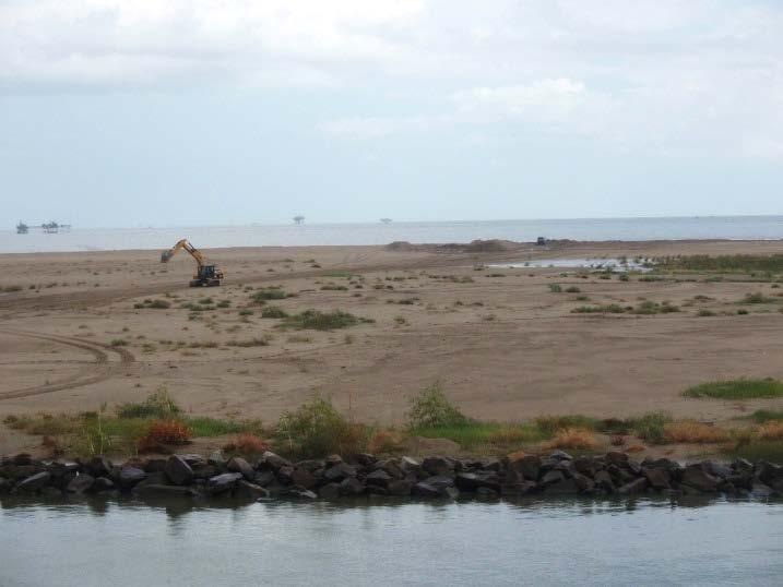 7 October 2011: Marsh Creation Site G