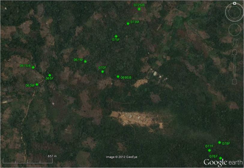 Figure 2. Census points in Monte Belo area. In each point birds inside the 20m and 50m radius were registered. When we were not able to identify a call, we recorded the call or song of the species.