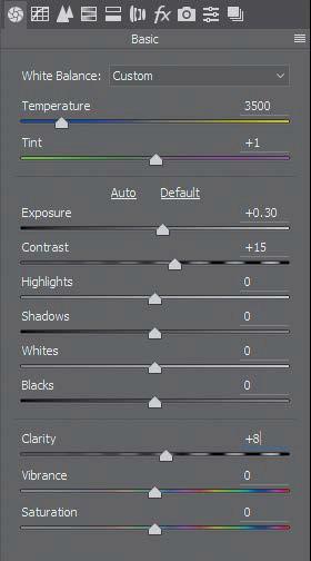3 Adjust other sliders in the Basic panel to brighten and intensify the image: Increase Exposure to +0.30. Increase Contrast to +15. Increase Clarity to +8.
