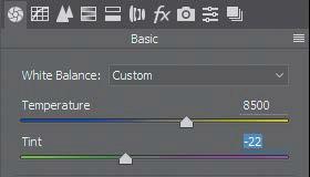 To set an accurate white balance, select an object that should be white or gray.