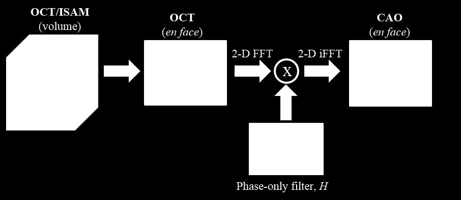 Instead, the following process is used in this thesis: { { } } S ( x, y, z ) S ( x, y,z, z, z ) H ( q, q ) (2.8) 1 1 AC 0 OCT ref.