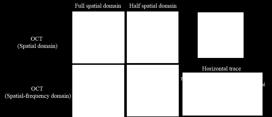 2(c) which shows the full spatial frequency spectrum of the particle. Then, in Figure 4.2(b), half of the defocused particle is cropped in the spatial domain.