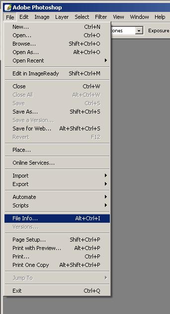 6. After opening the image in Photoshop, go to the file menu and select File info (see below) 7.
