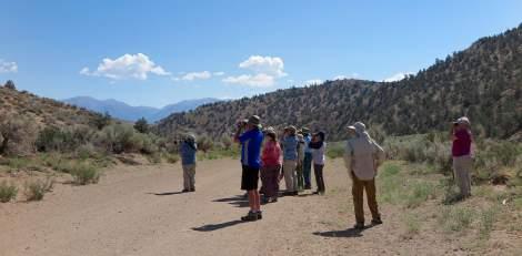 The heat had already started to build by the time we arrived but we started our birding with ecellent views of two recently described species - Sagebrush Sparrow and Woodhouse s Scrub-Jay.