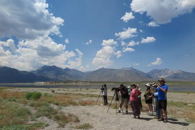 Looking for sparrows and larks, Lake Crowley, July 2016 By noon we were all feeling the effects of the early start, so we headed into Mammoth Lakes for lunch.