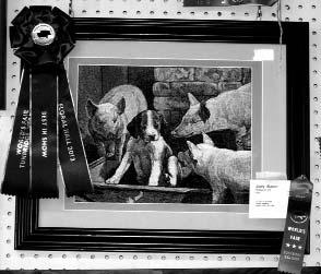All entries must be the handwork of the exhibitor. Exhibitors must be 18 or older. Only one entry per class. Entries left at the owner s risk Black and White: 15. B&W Tunbridge Fair 4 3 2 16.