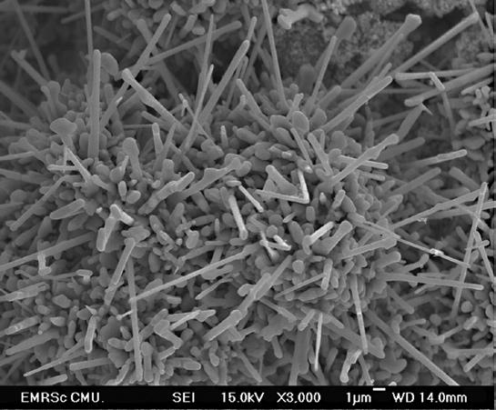 respectively. The wire-like nanostructures with diameter of about 100 nm and length of about 10 µm were observed after sintering process.