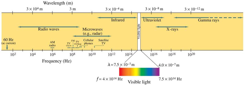 22-3 Light as an Electromagnetic Wave and the Electromagnetic Spectrum Electromagnetic waves can