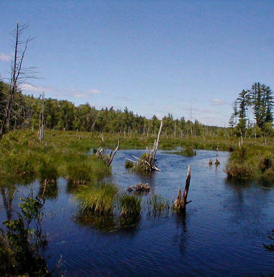 Tamposi Water Supply Reserve 1400 acres including Oyster River headwaters