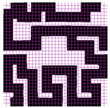 The path threshold of the maze can be easily determined from this image, in addition
