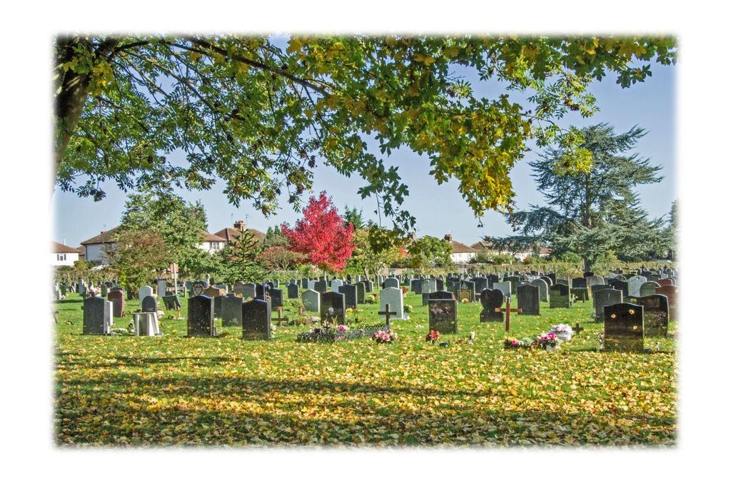 FUNERAL OPTIONS The following options can be organised through your funeral director or the Town Council s Cemeteries Administrator.