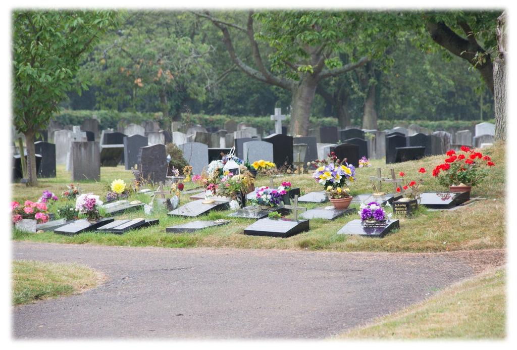 Options for Cremated Remains There are several options for the interment of cremated remains which can be arranged through a funeral director or directly with the Town Council s Cemetery