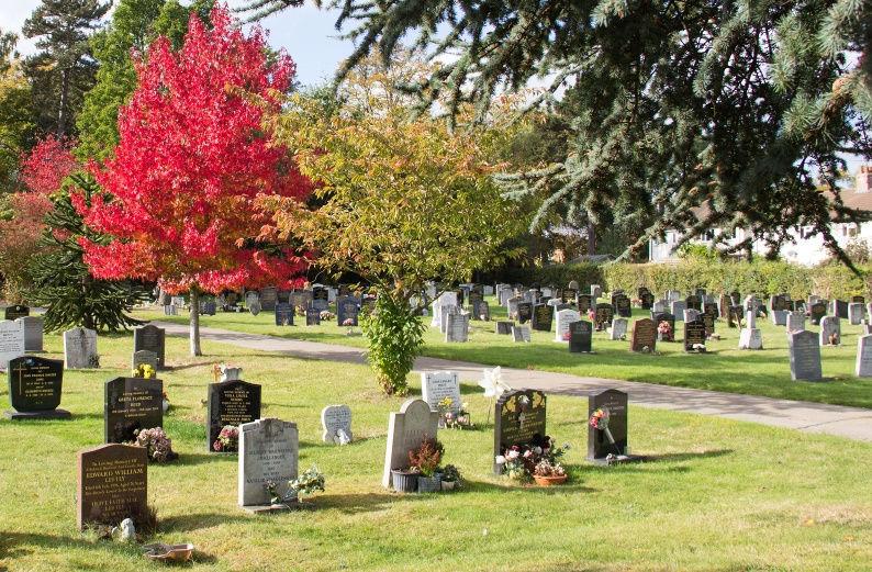 Options at a glance - Burial Lawned grave no