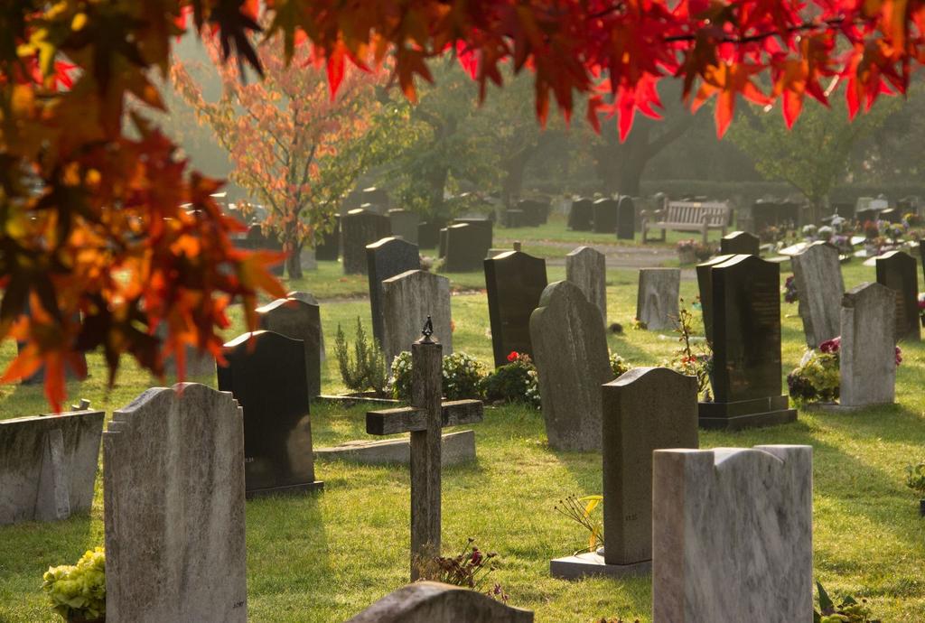 Existing purchased Grave in either Cemetery Ashes may also be scattered on an existing purchased grave in either