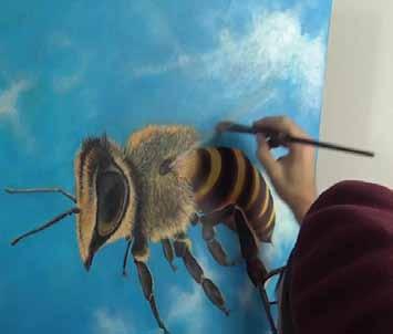 Charge the Large Filbert Brush and wipe off the excess onto a paper towel. Apply the paint with quick movements and follow the direction in which the wings lie. Ensure the edges are soft.