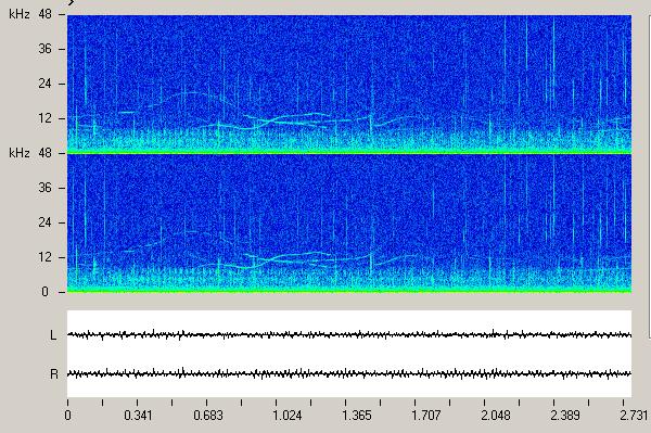 Search for Cetaceans in the Gulf of Catania H3 H1 sec The detection of such sounds indicates