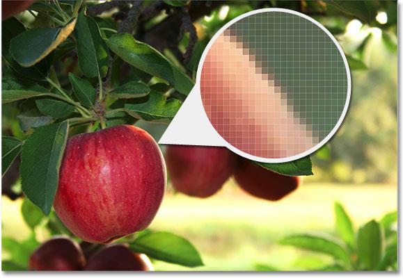 A close-up view of the edge of an apple showing that it s really just a bunch of tiny square pixels.