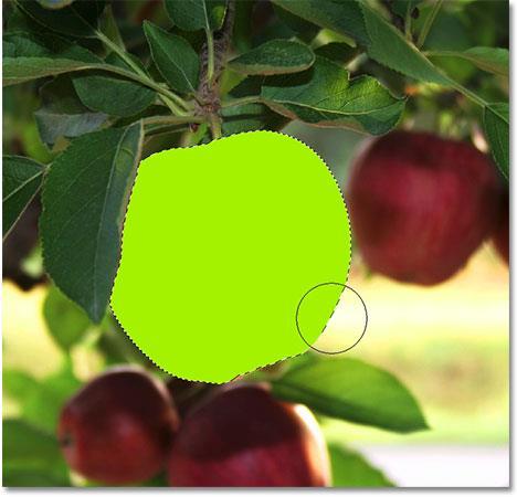 Let s see what happens now when I try painting over the apple again. I ll grab the Brush Tool just like I did before, and with green still as my Foreground color, I ll try painting over the apple.