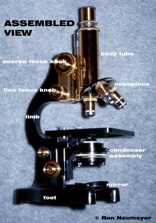 Basic microscope Ocular Objective Sample stage Condenser lens Light source http://www.